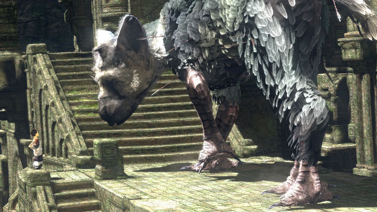 The Last Guardian  PS4