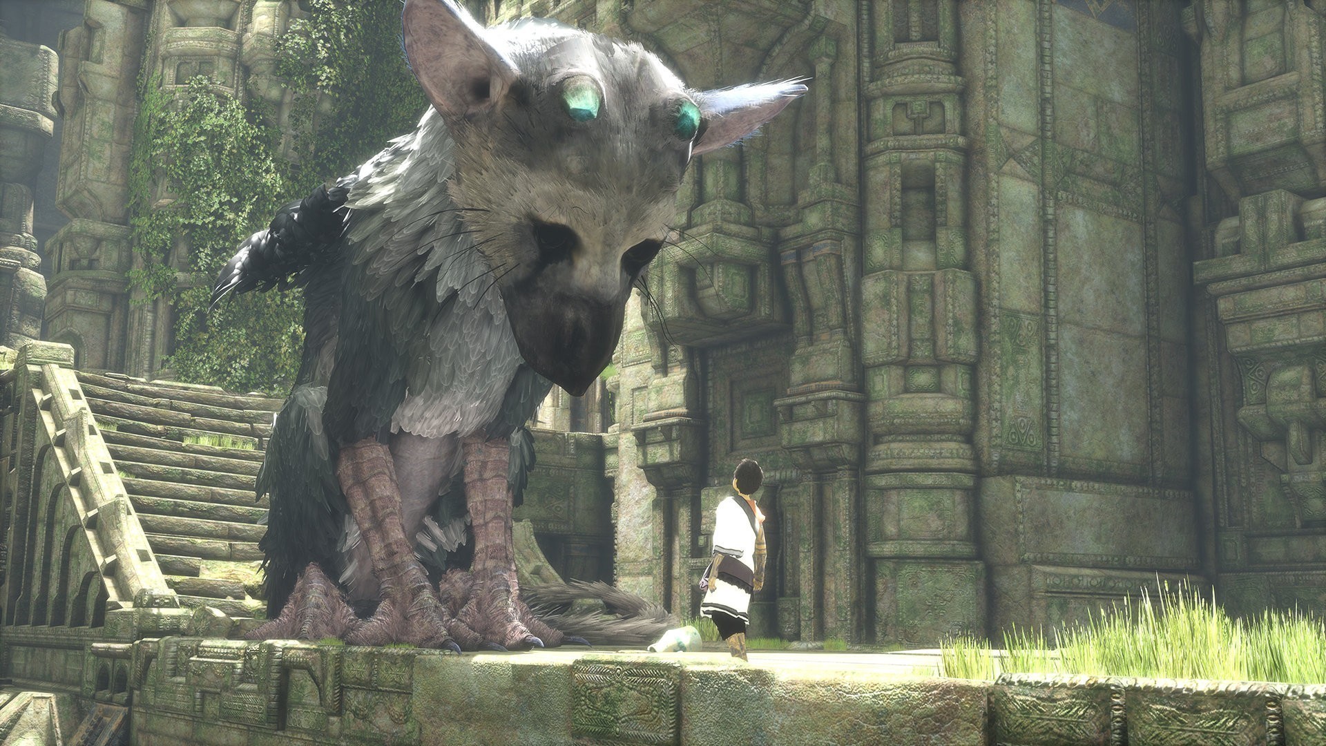 the-last-guardian-ps4