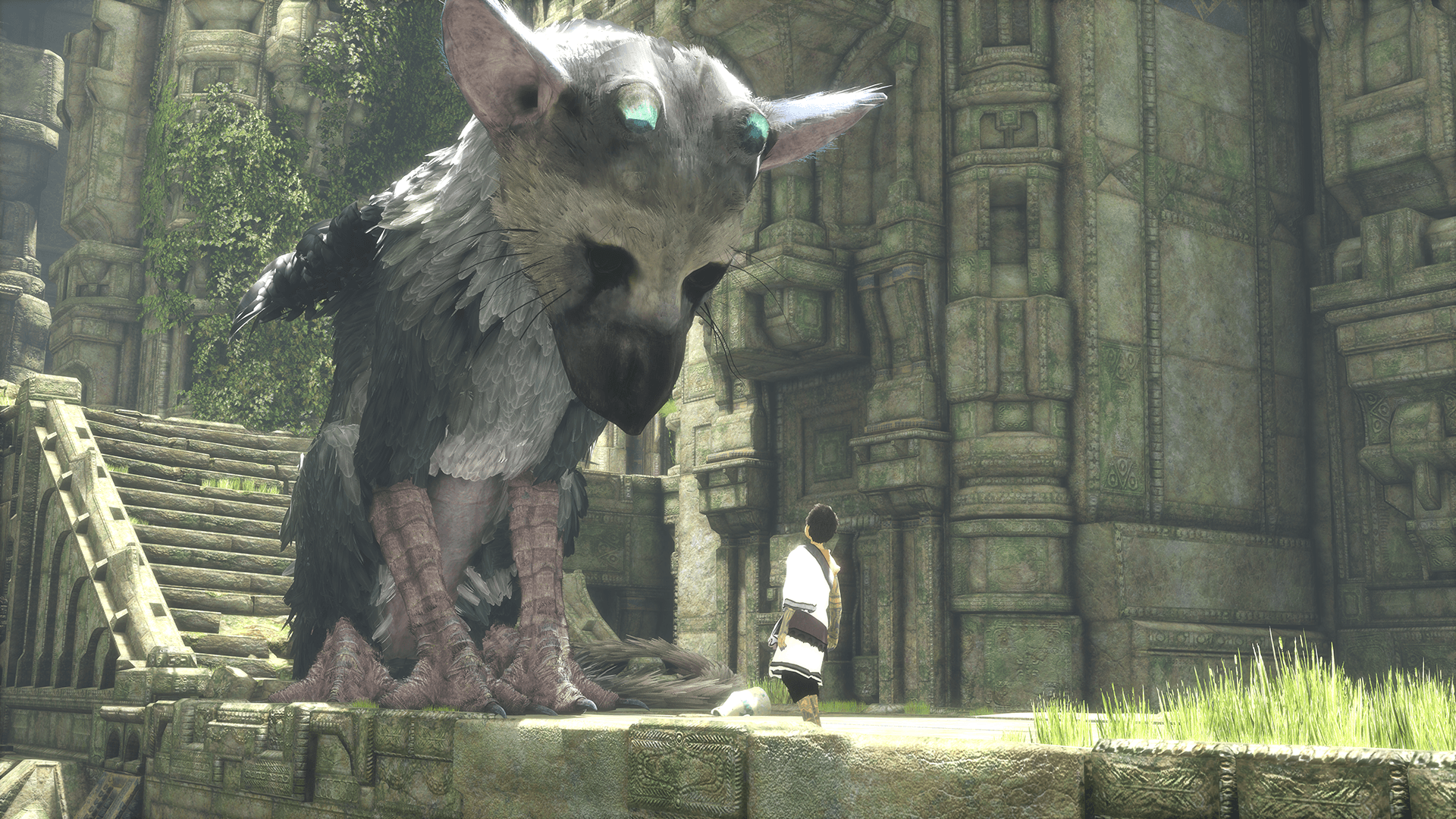 the-last-guardian